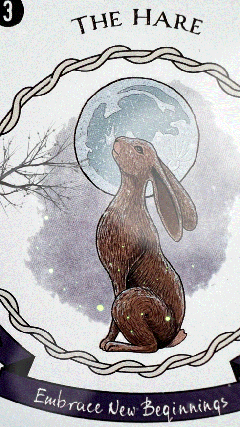 Gemini Extended December 2023